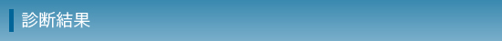 診断結果